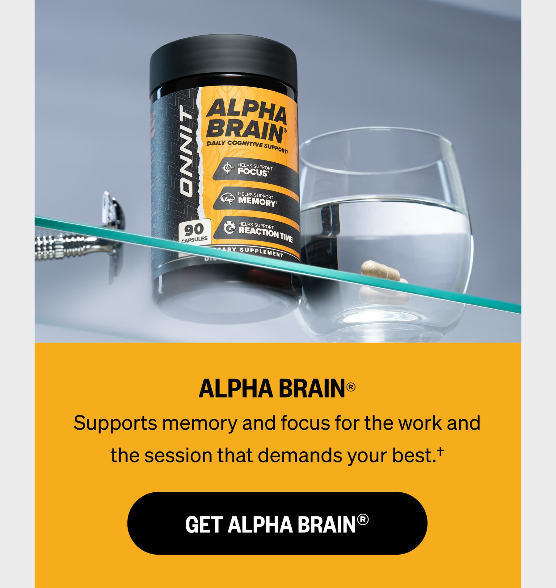 ALPHA BRAIN® Supports memory and focus for the work and the session that demands your best.†  GET ALPHA BRAIN®