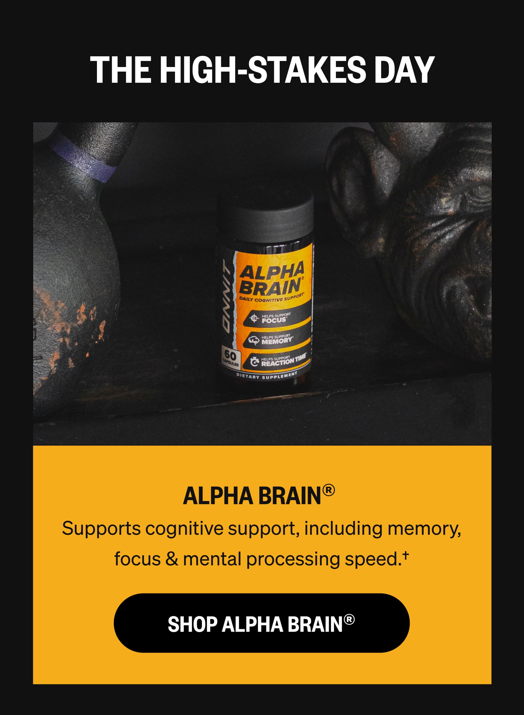 THE HIGH-STAKES DAY ALPHA BRAIN®  Supports cognitive support, including memory, focus & mental processing speed.† SHOP ALPHA BRAIN®