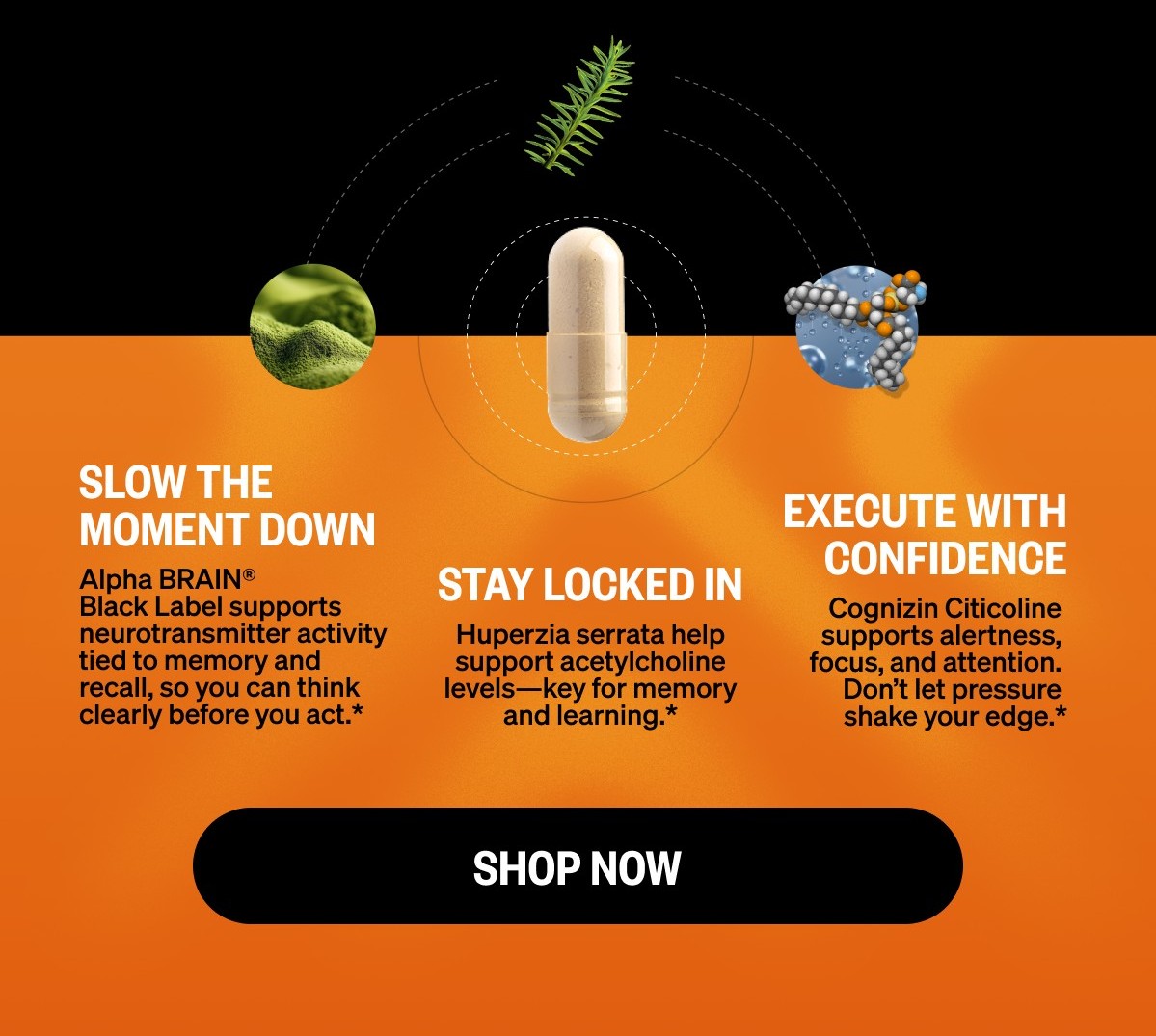 Alpha BRAIN® Black Label