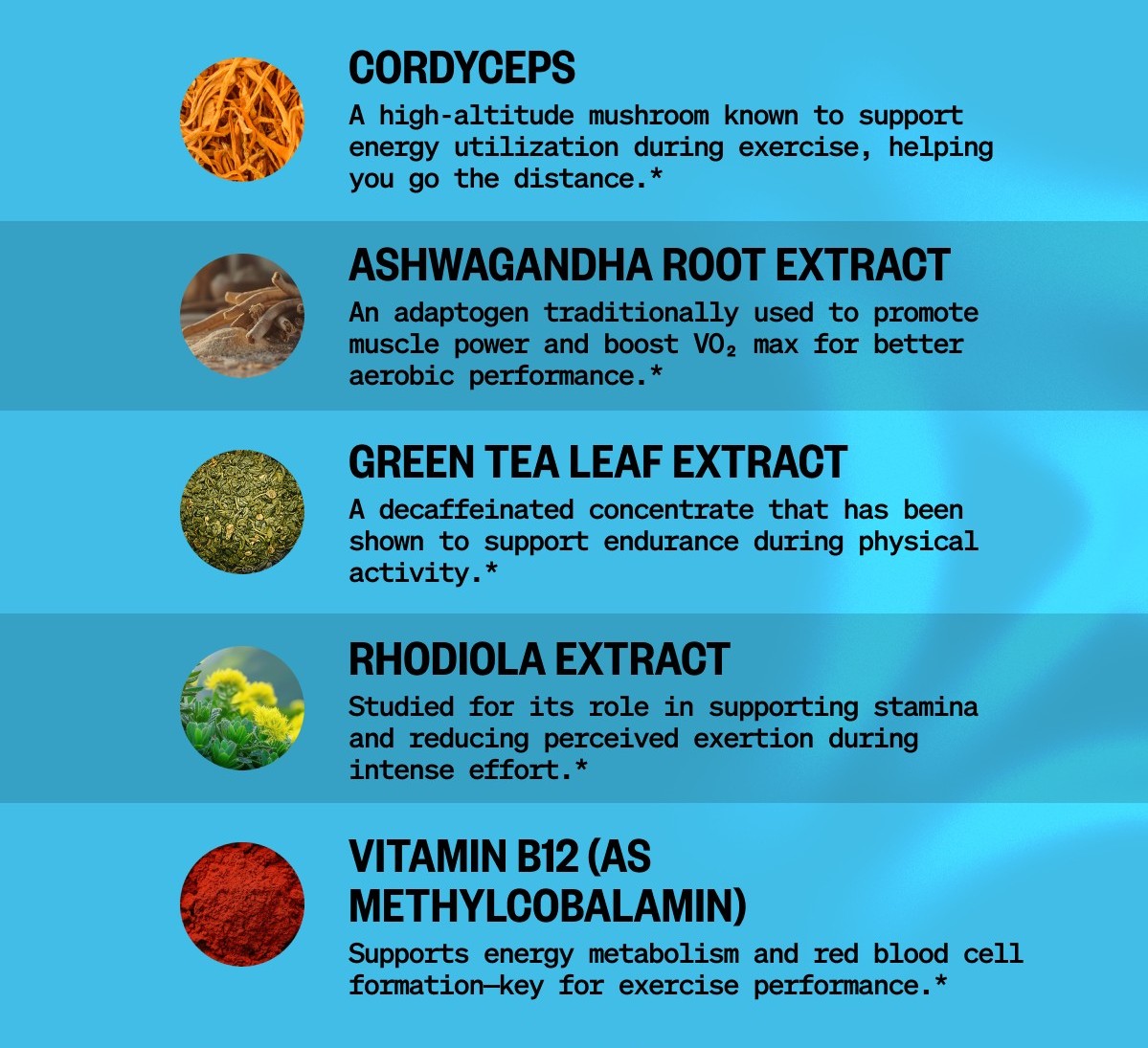 INGREDIENTS