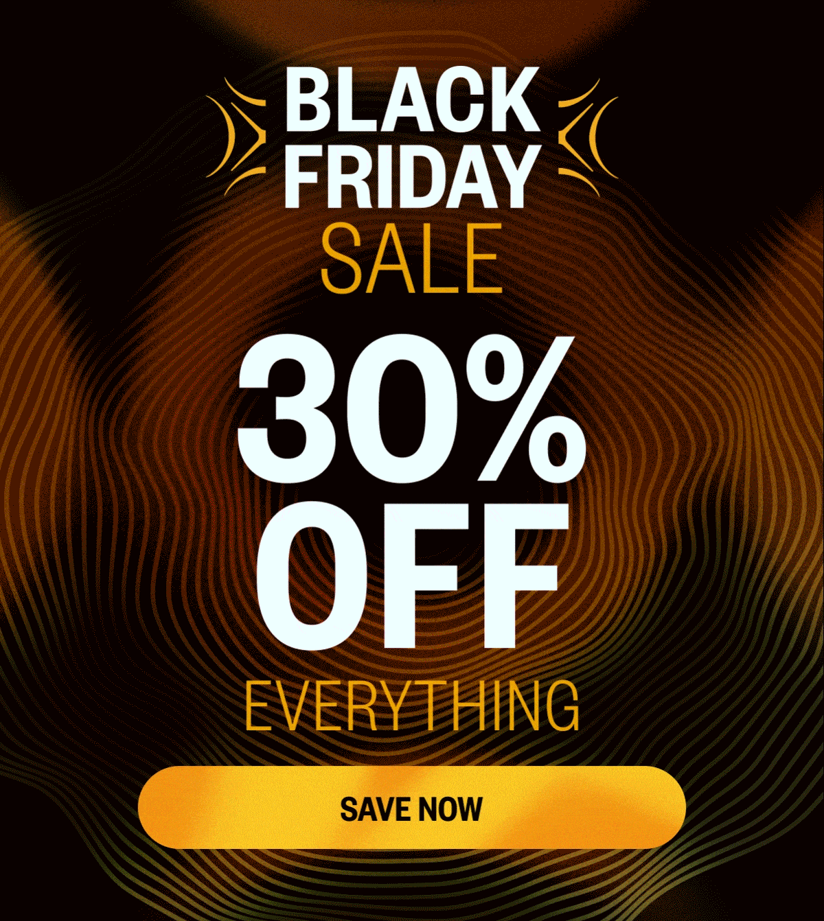 30% OFF BLACK FRIDAY | SAVE NOW