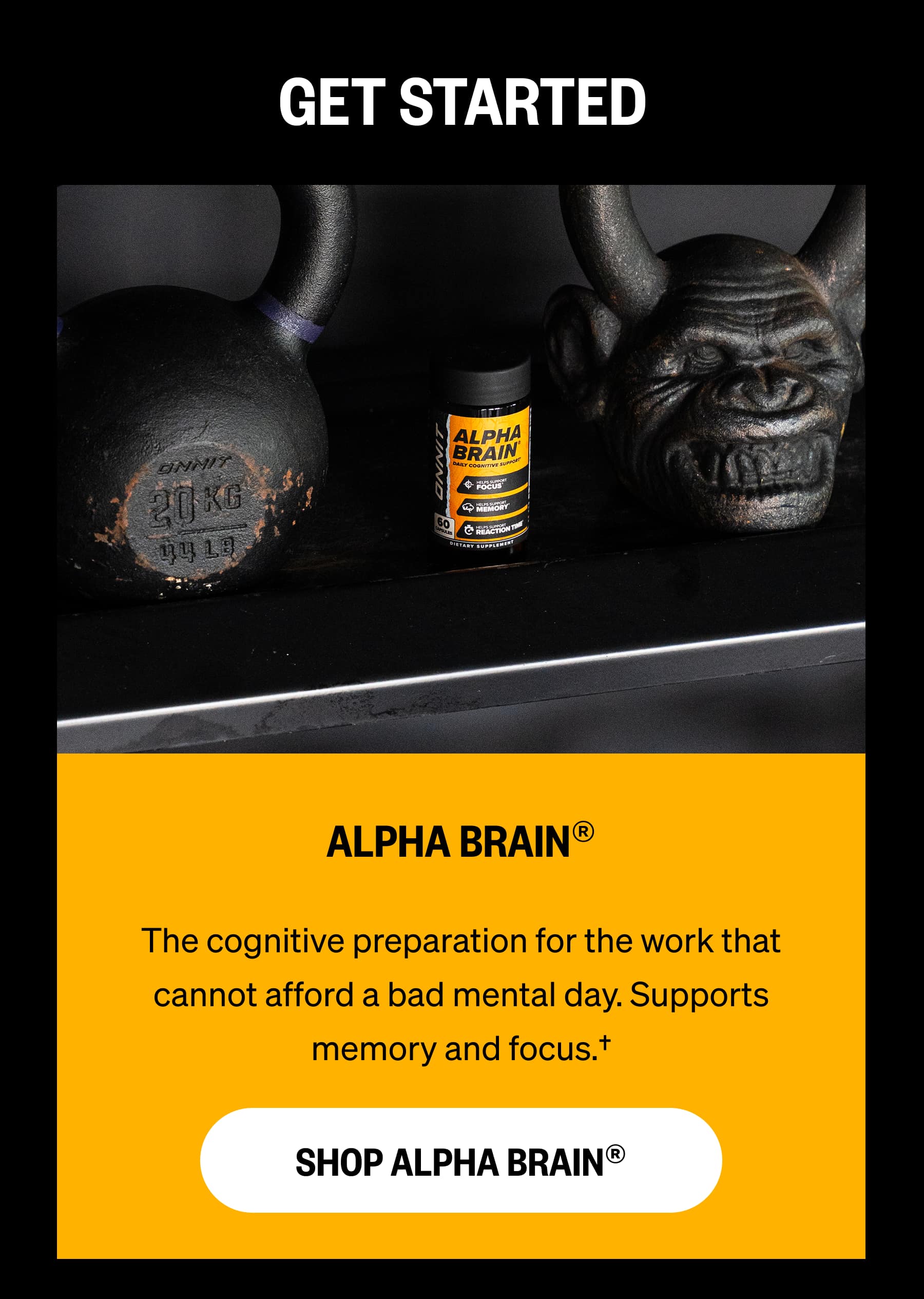 GET STARTED ALPHA BRAIN® The cognitive preparation for the work that cannot afford a bad mental day. Supports memory and focus.† SHOP ALPHA BRAIN®