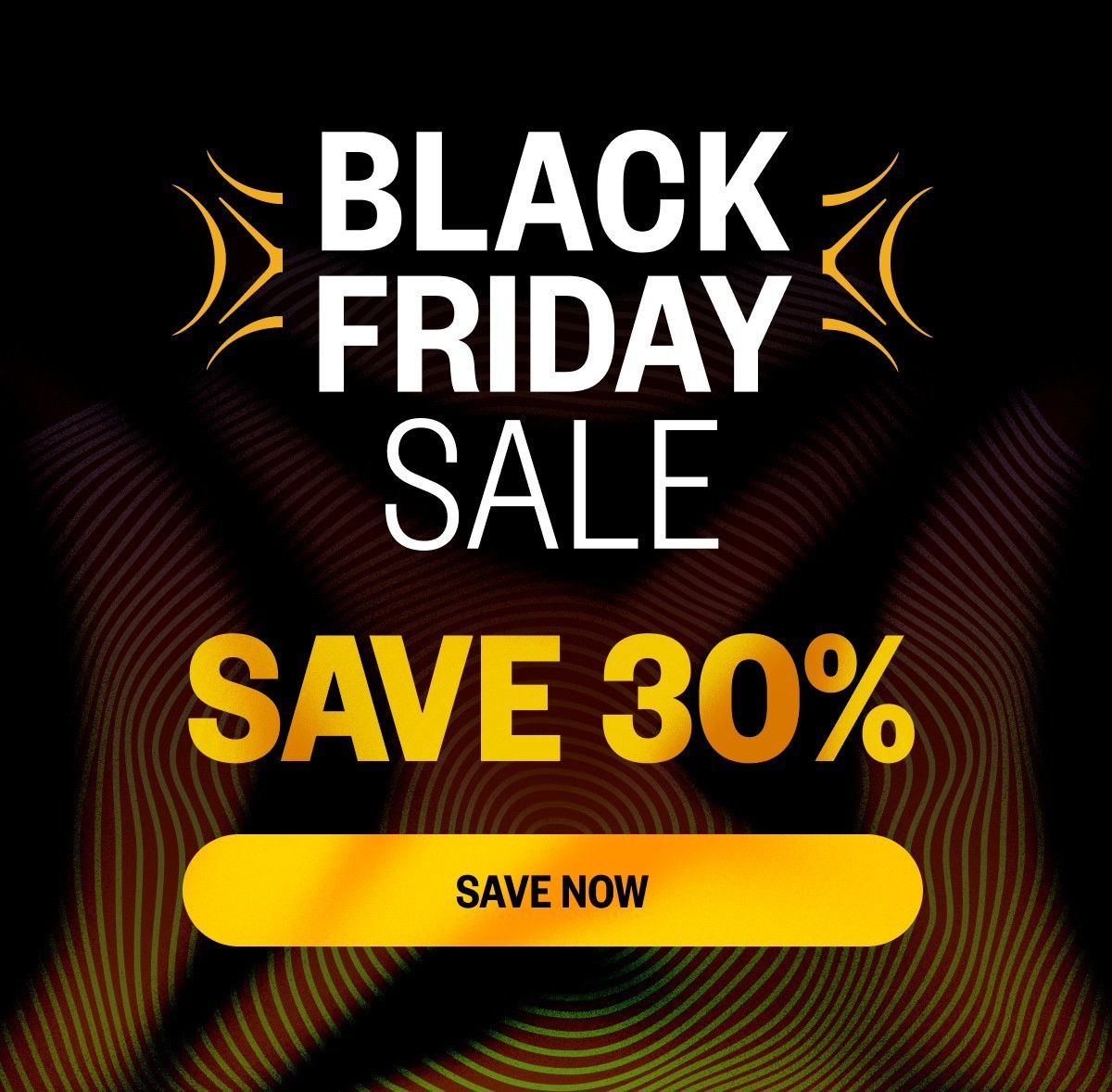 30% OFF BLACK FRIDAY