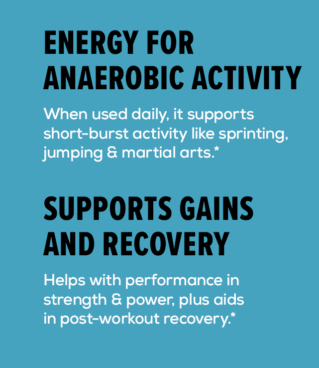 Energy for Anaerobic Activity
