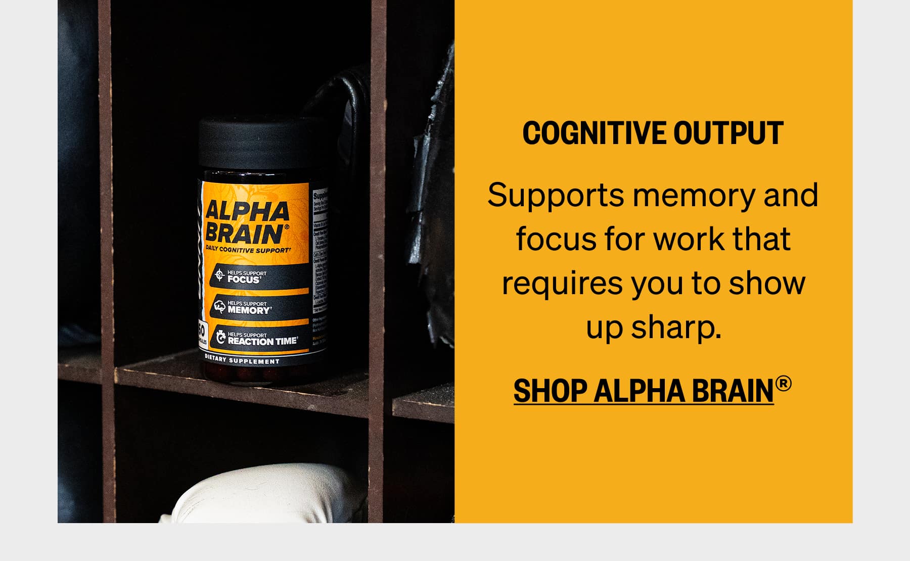 COGNITIVE OUTPUT Supports memory and focus for work that requires you to show up sharp. SHOP ALPHA BRAIN®