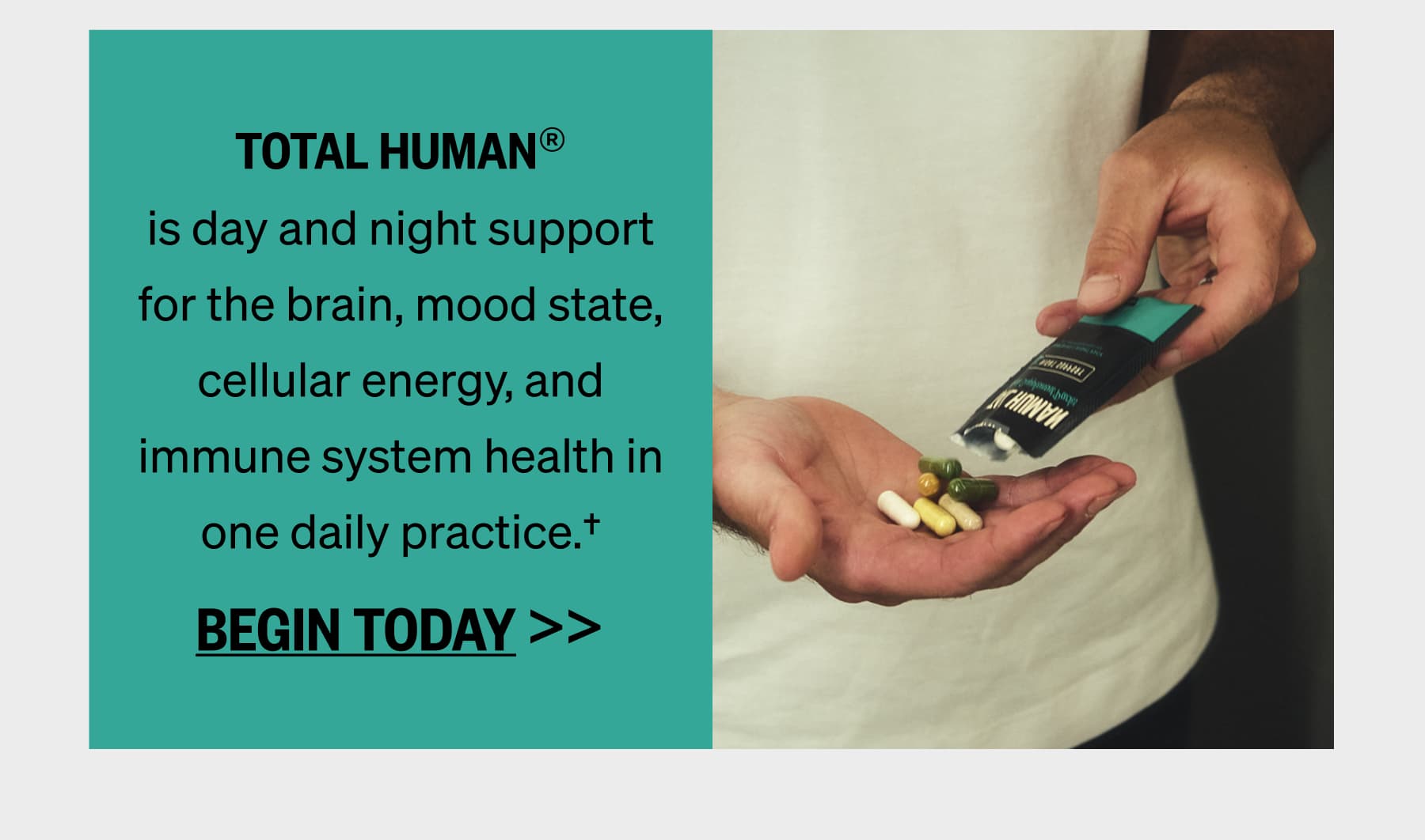 Total Human® is day and night support for the brain, mood state, cellular energy, and immune system health in one daily practice.†