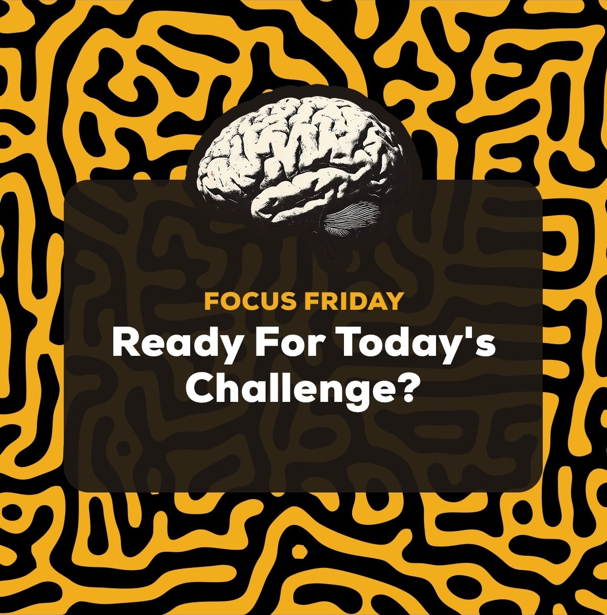 Ready for today's Challenge?