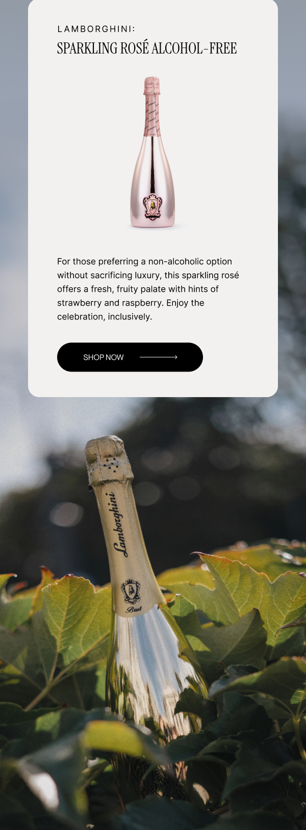 LAMBORGHINI: SPARKLING ROSÈ | ALCOHOL-FREE