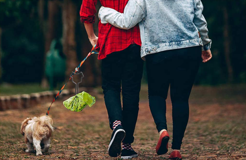 Dog Pooping - Pets Love Surprises