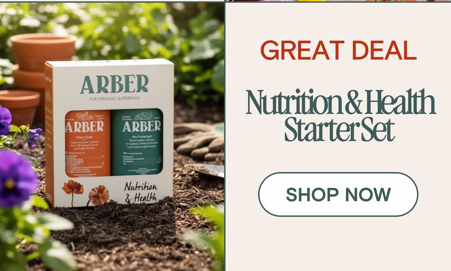 GREAT DEAL Nutrition & Health Starter Set