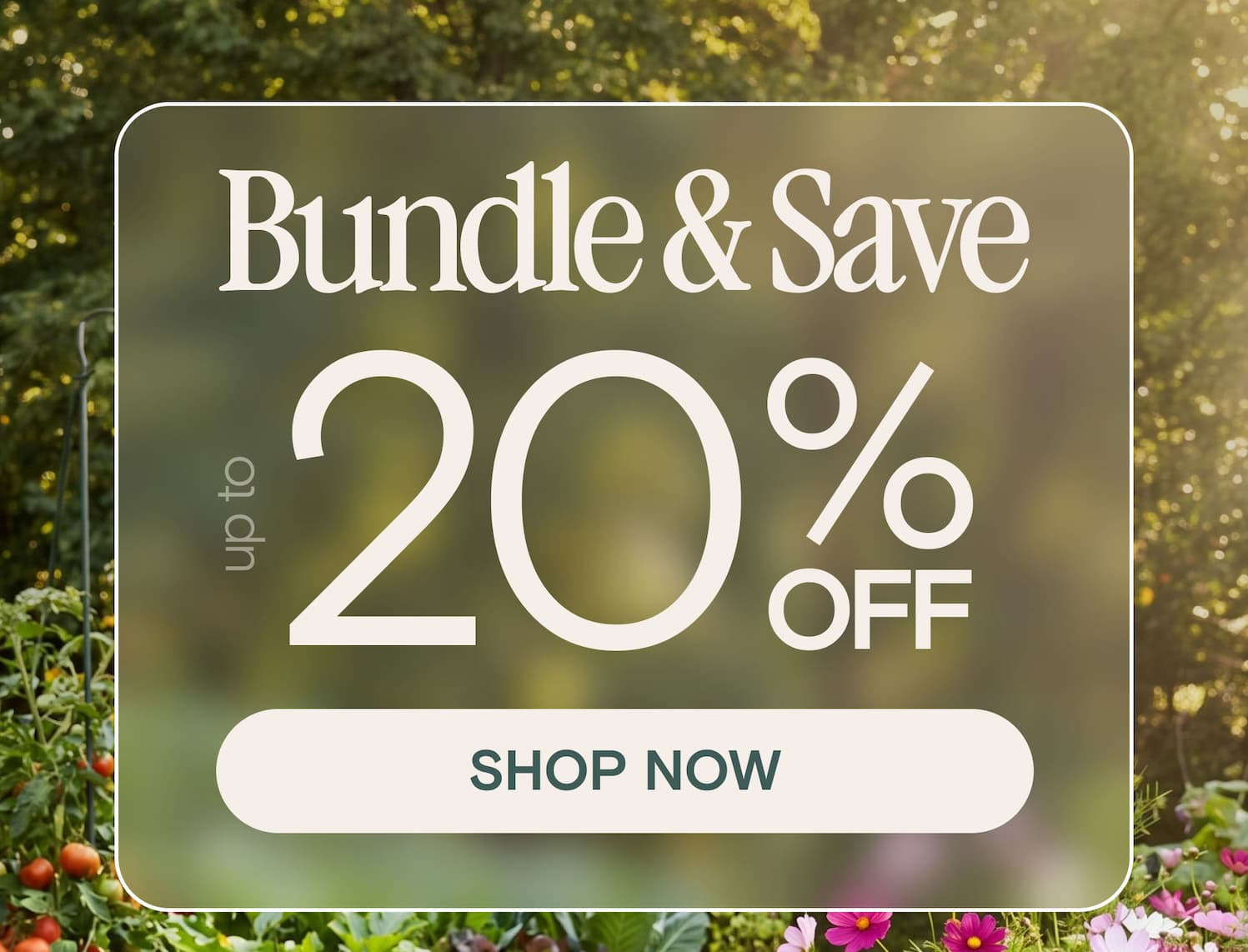 Bundle & Save 20 % OFF