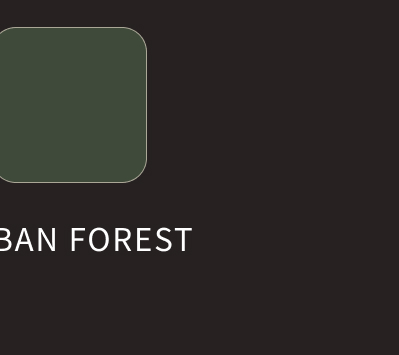 RAIN FOREST