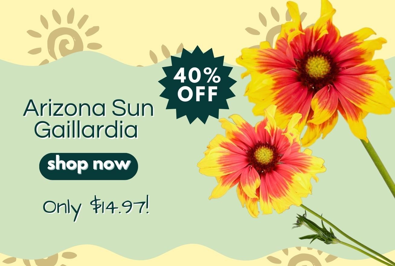 ☀️All Drought Tolerant Plants Up To 45 OFF For A Limited Time!😎 Garden Goods Direct