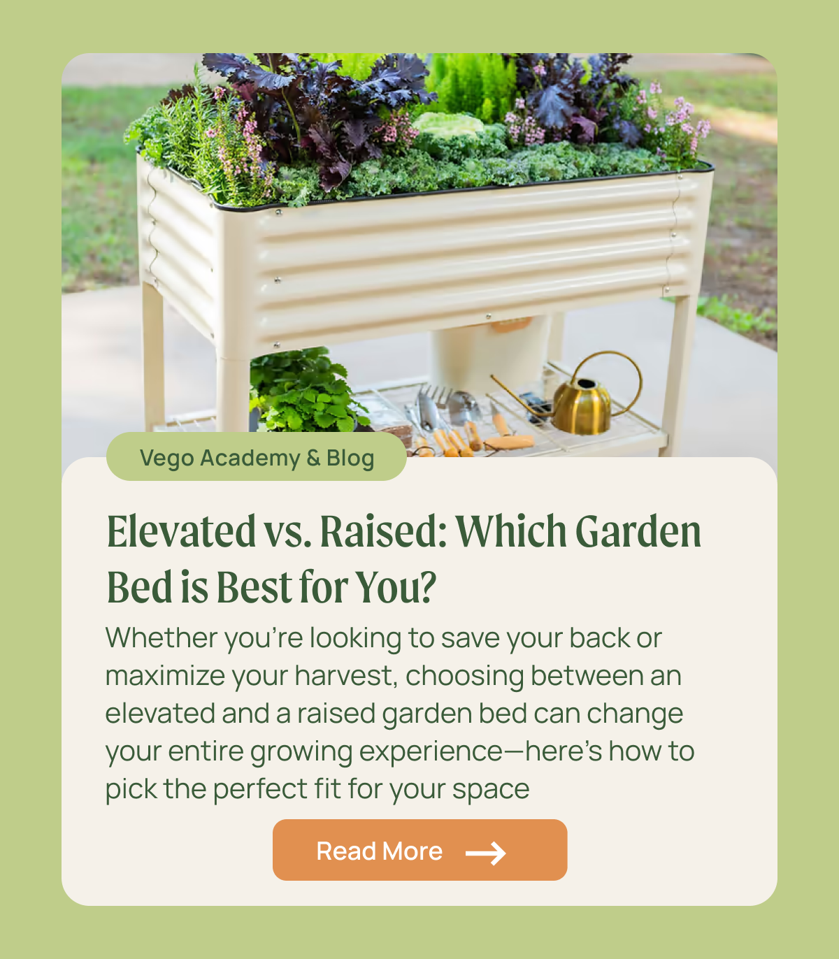 an image of a planter with a garden in it