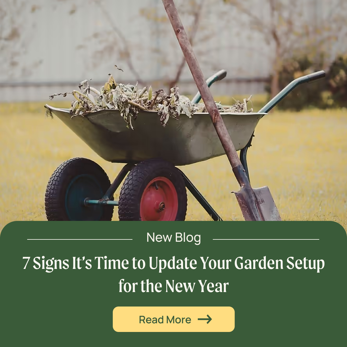 an image of a field of flowers with the title how to avoid the false spring and choose climate