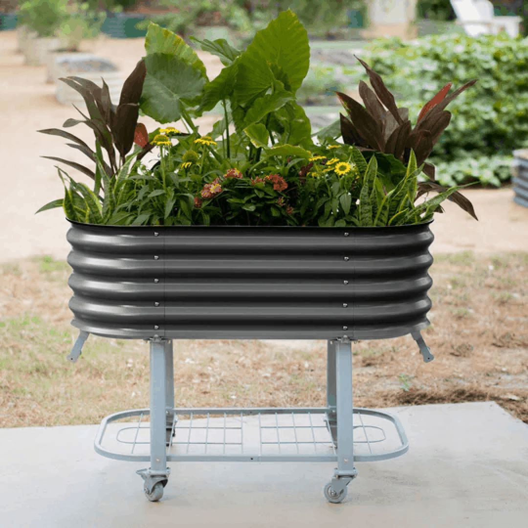 Garden on Wheels Introducing our Selfwatering Rolling Garden Bed🎉