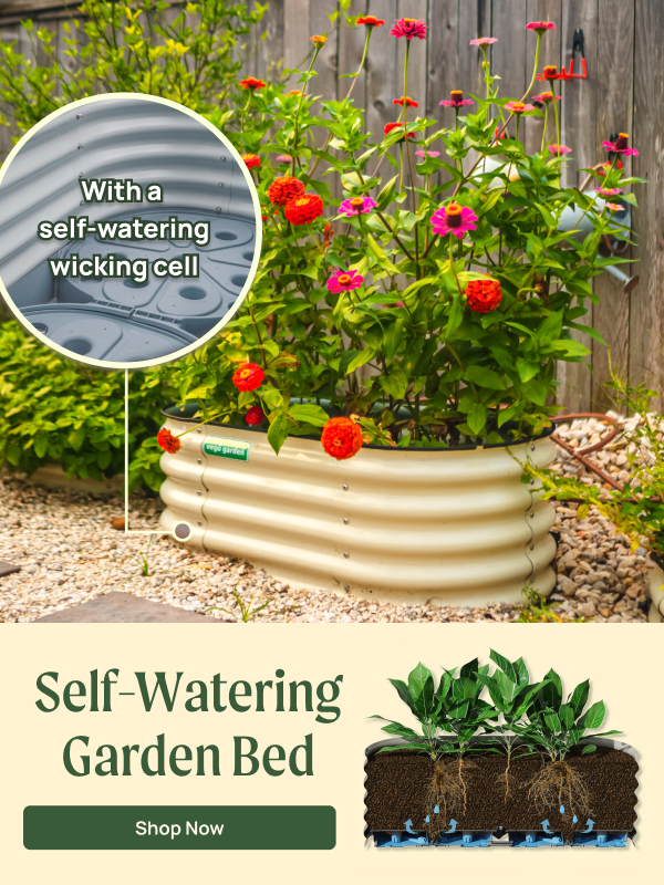 Introducing Vego SelfWatering Garden Bed Grow More with Less Effort Vego Garden