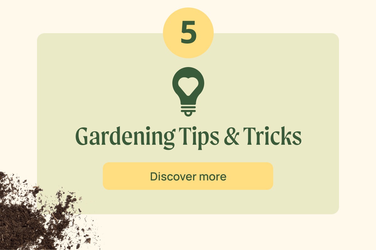vego garden instagram
