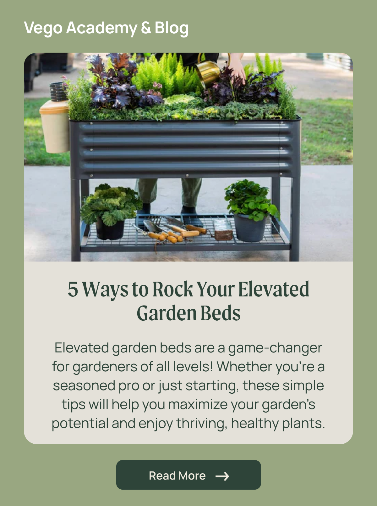 an image of a garden bench with plants and a potted plant