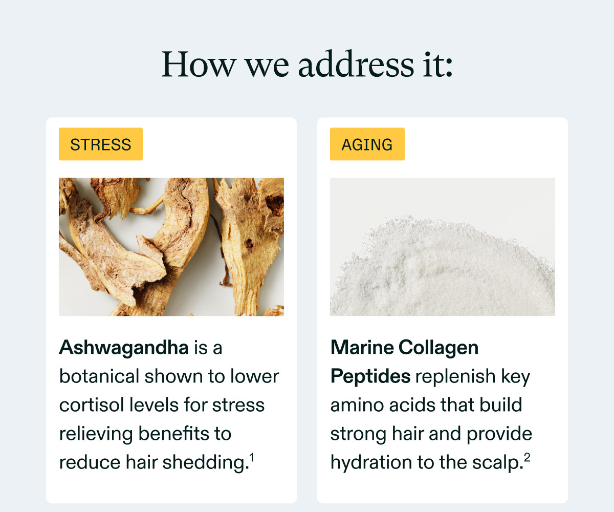 How we address it:  STRESS  Ashwagandha is a botanical shown to lower cortisol levels for stress reliving benefits to reduce hair shedding.¹  AGING  Marine Collagen Peptides replenish key amino acids that build strong hair and provide hydration to the scalp.²