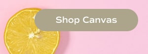 Shop Canvas