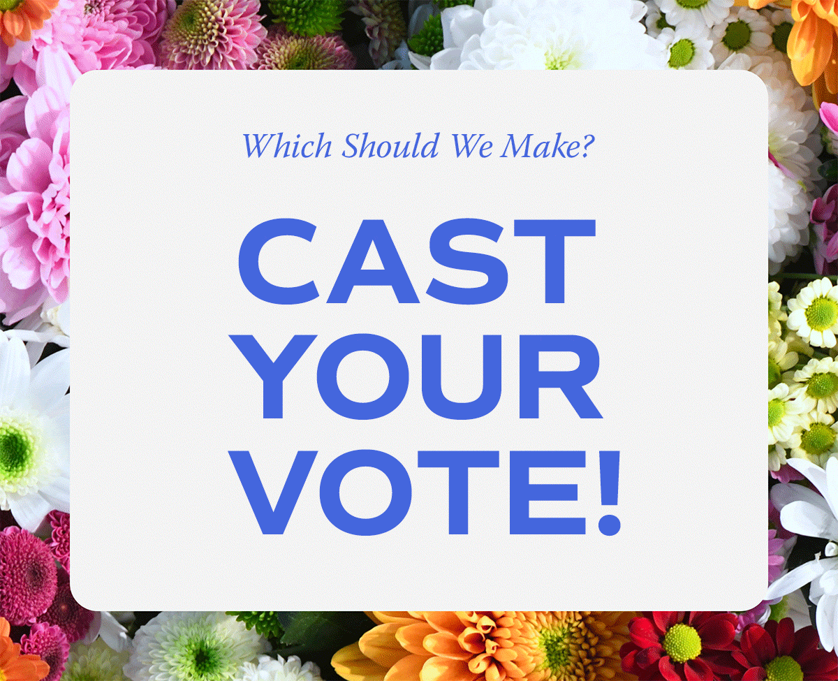 Animated text on top of a bright, floral background reads, "Which should we make? Cast your vote!"
