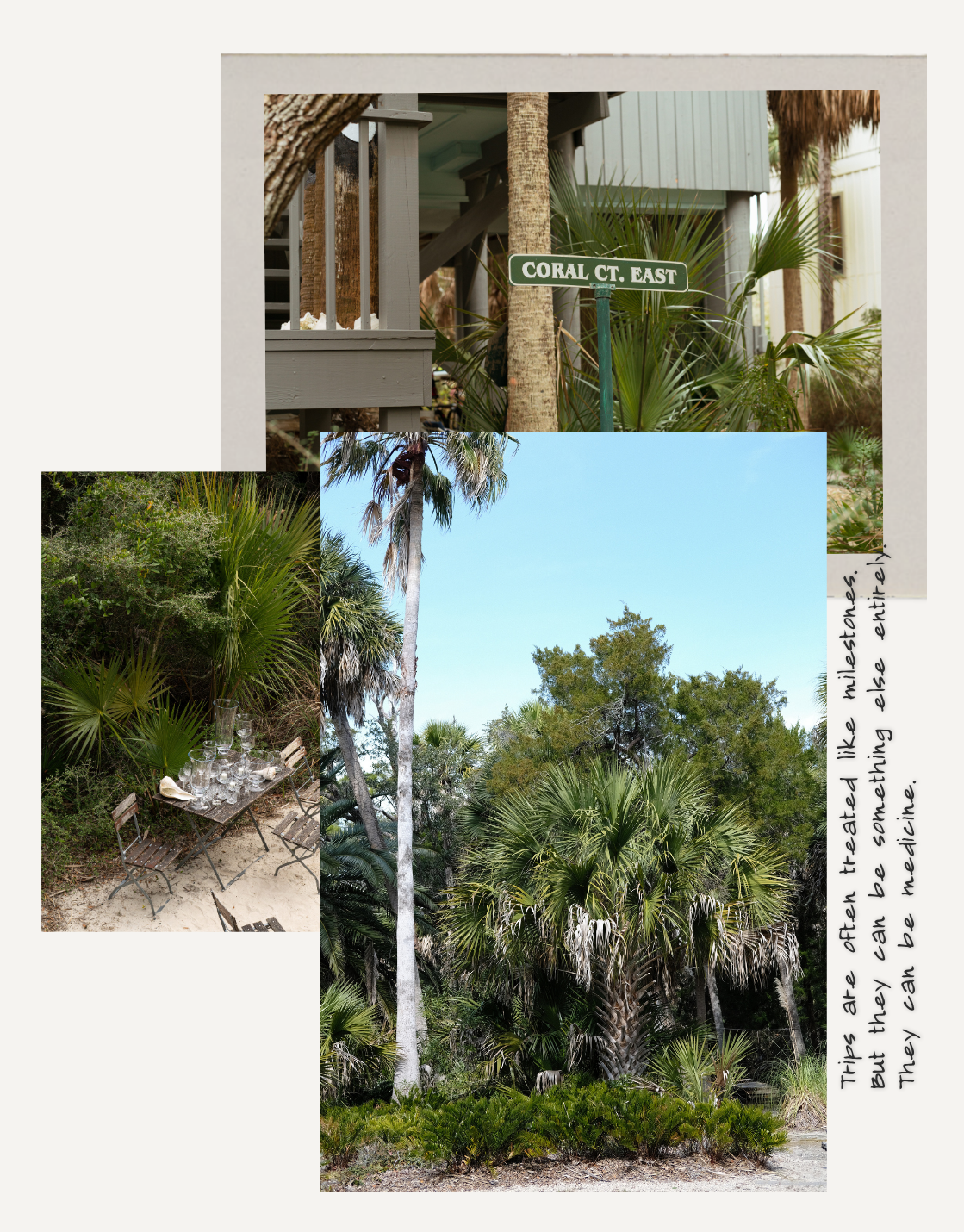 Back to the Beach, St. George Island
