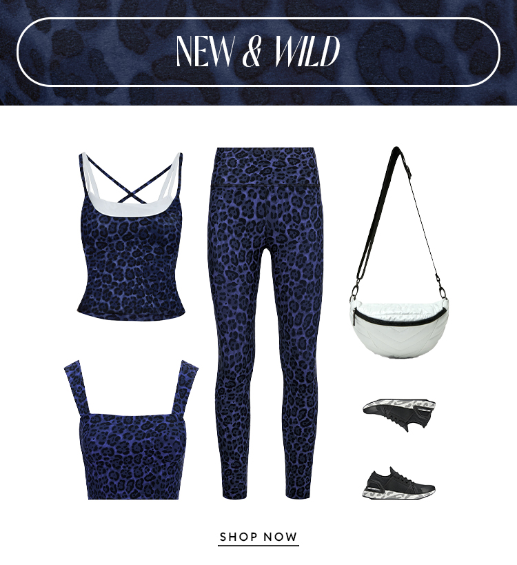 All New Navy Leopard - SHOP NOW