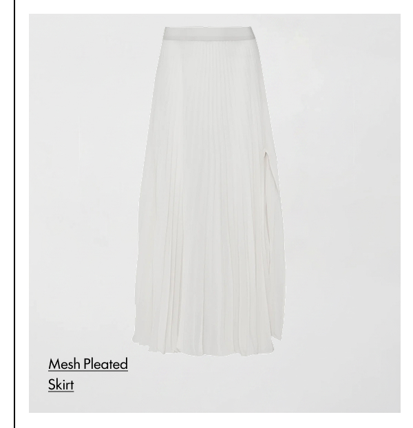 Mesh Pleated Skirt