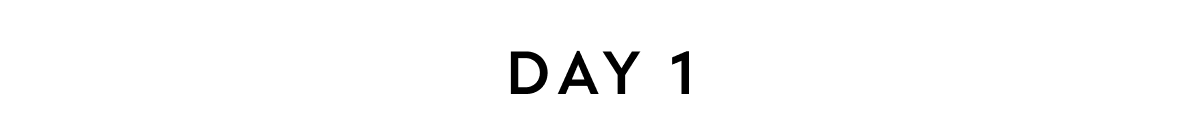 DAY 1