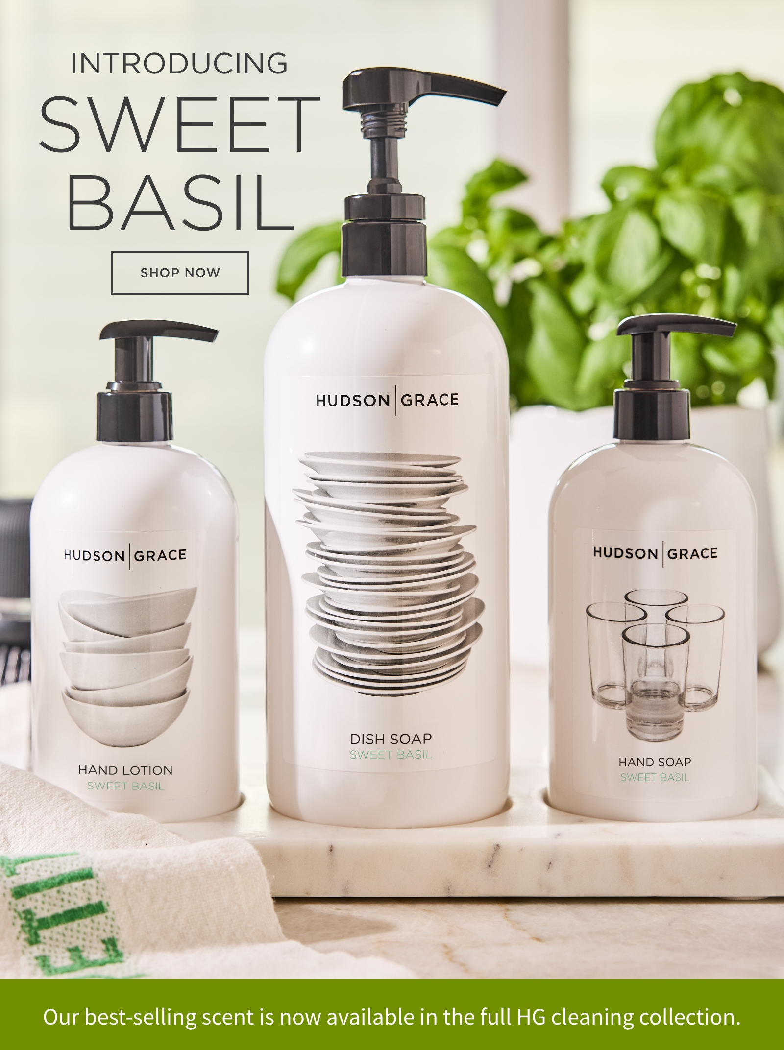 Sweet Basil Collection