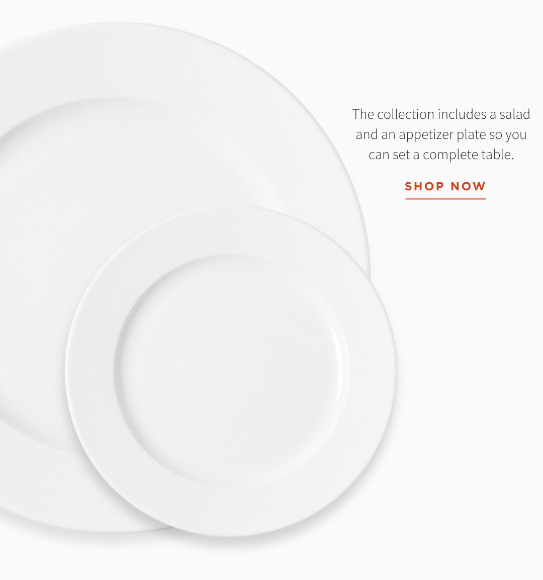 EVERYDAY PORCELAIN