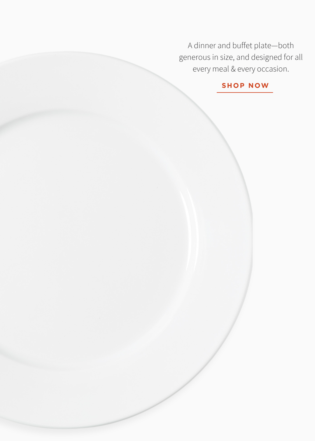 EVERYDAY PORCELAIN