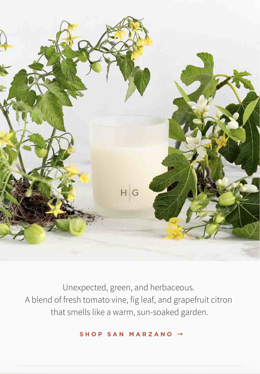 San Marzano Home Scent Collection