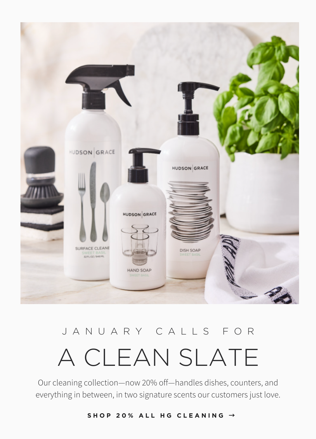 HG CLEANING 20% OFF
