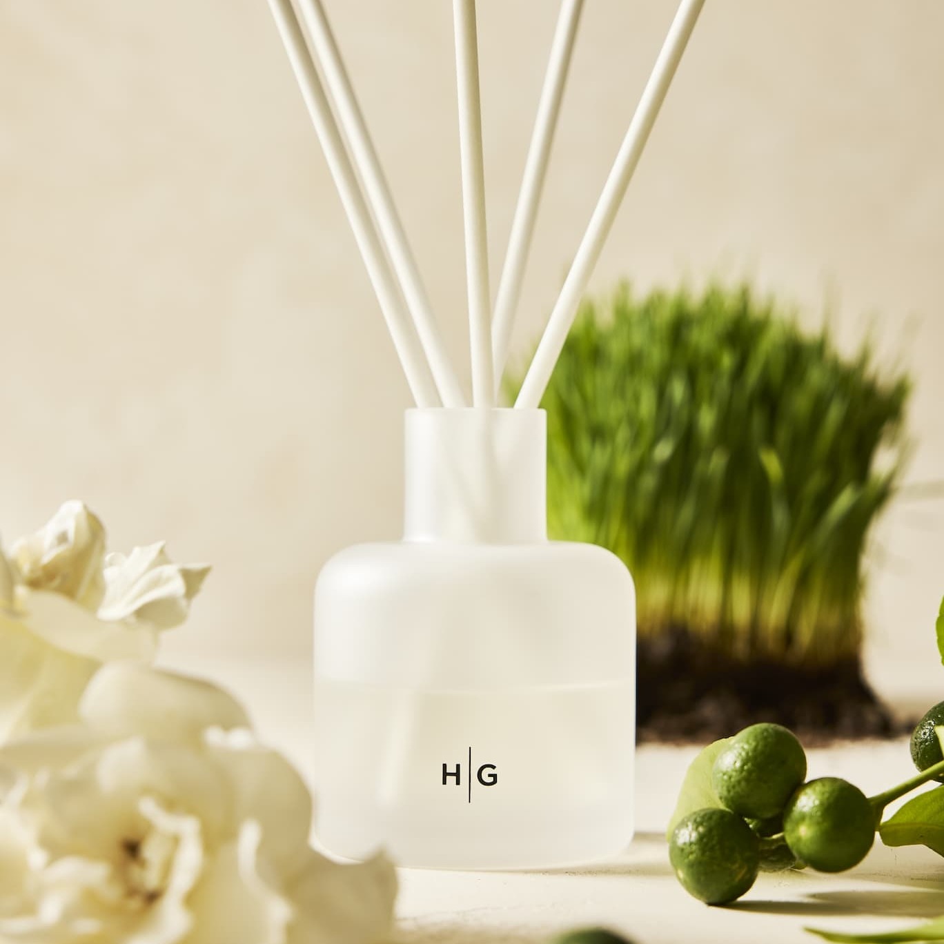 20% off HG Home Scent
