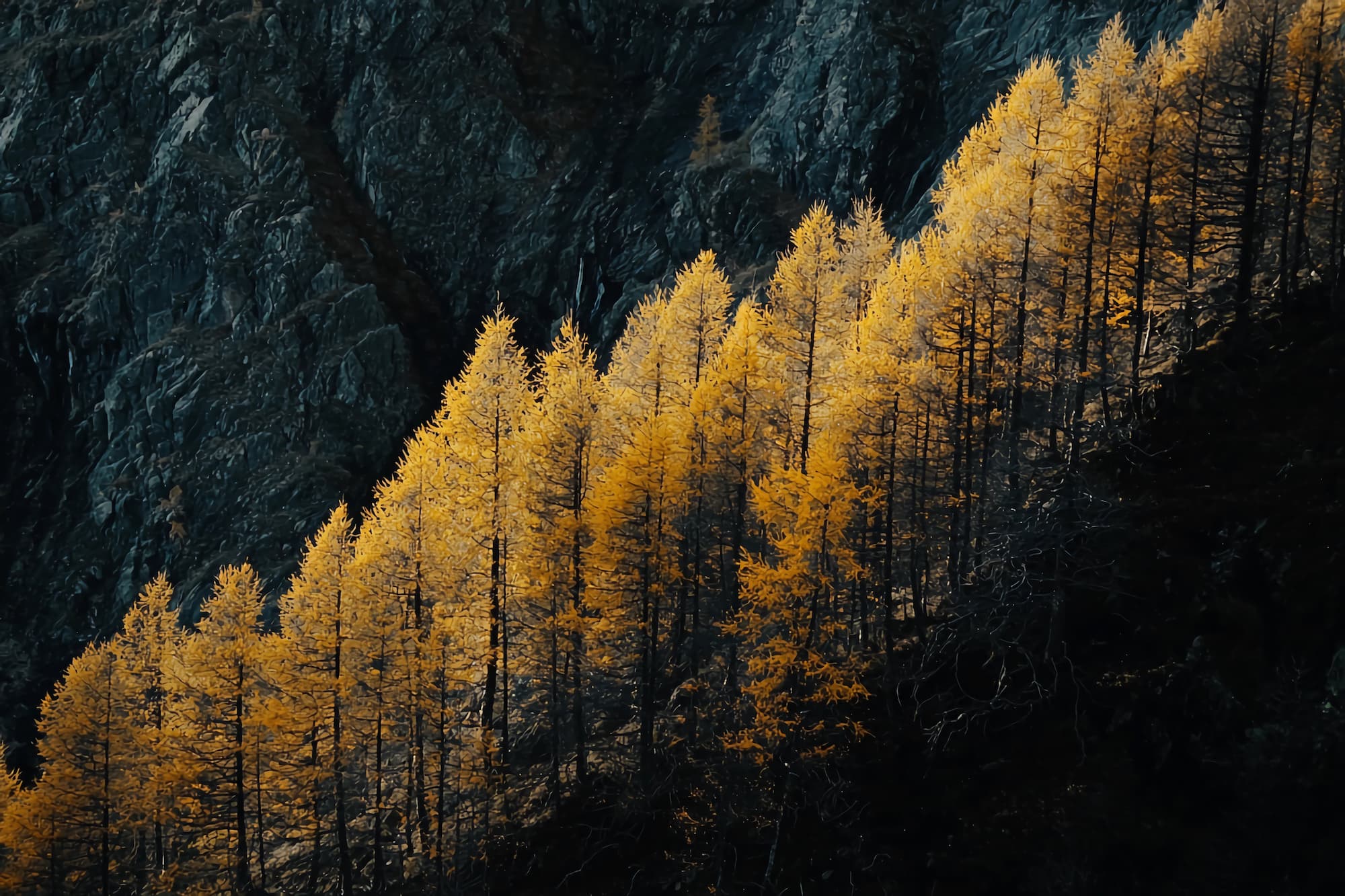 Aspen