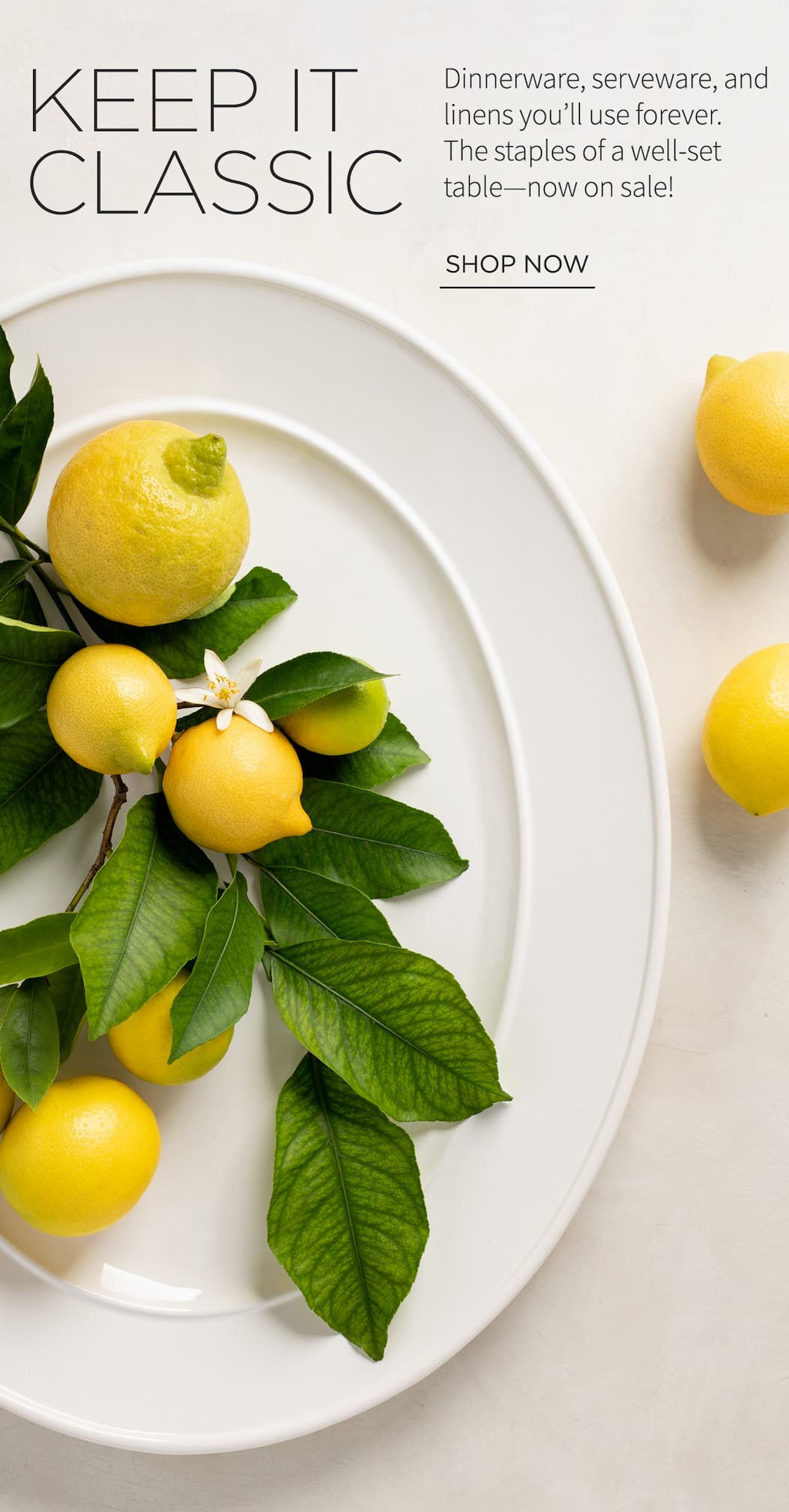 Sale Tableware