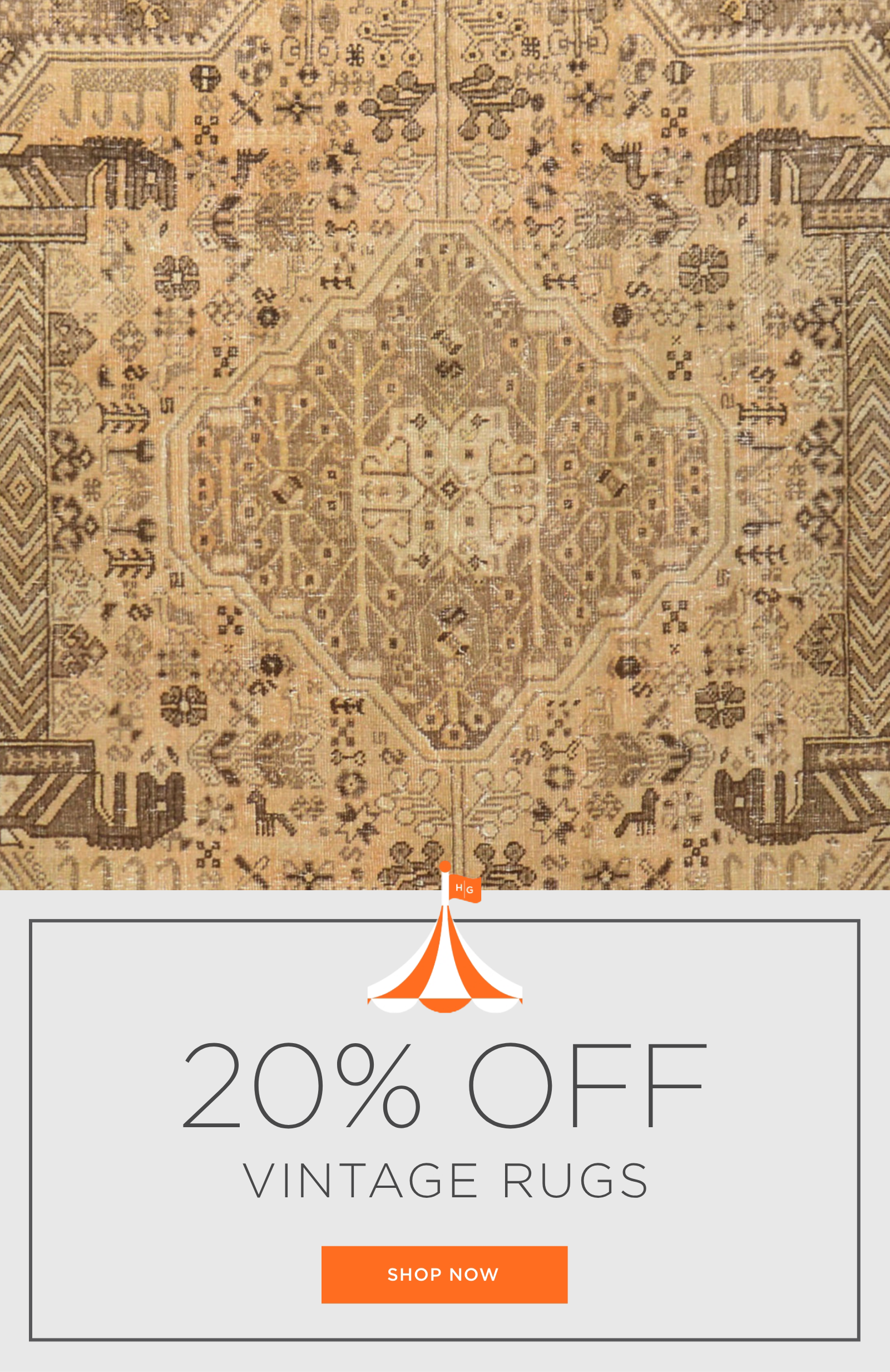 RUGS