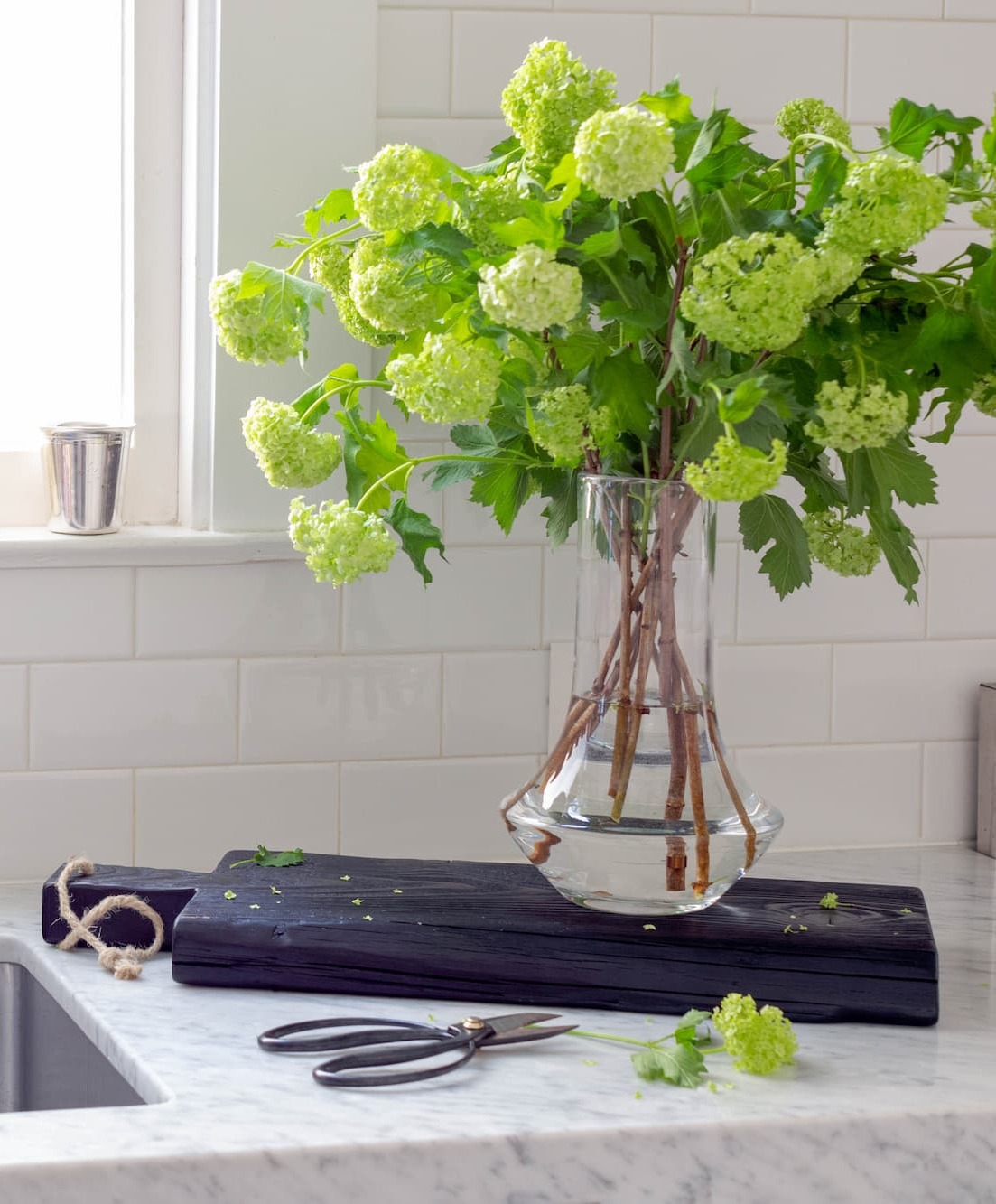 Vases & Botanicals