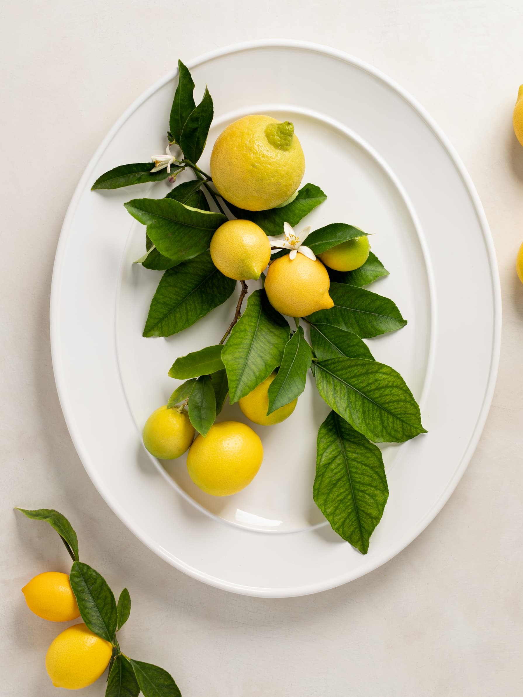 Sale Serveware