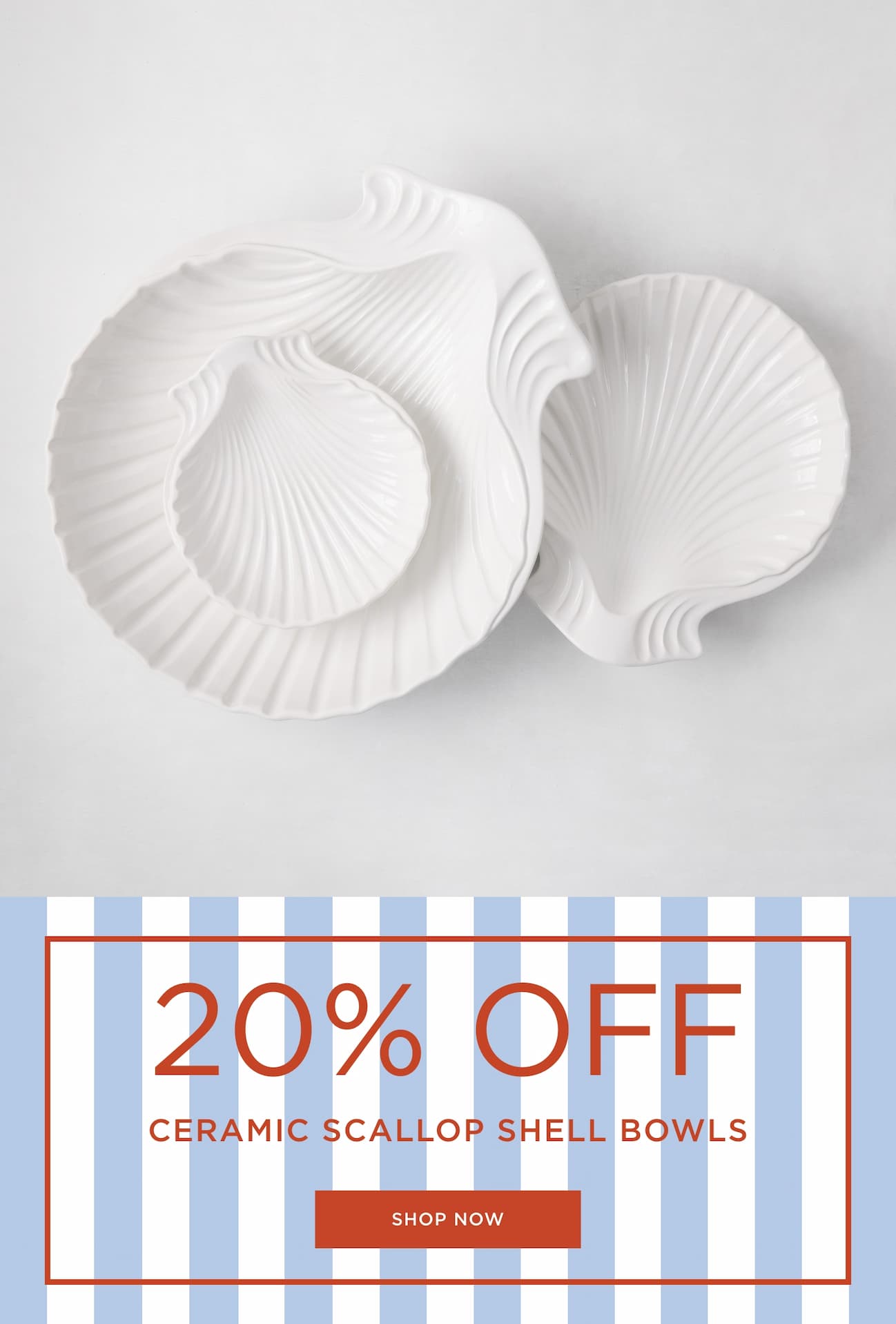 Sale Shell Bowls