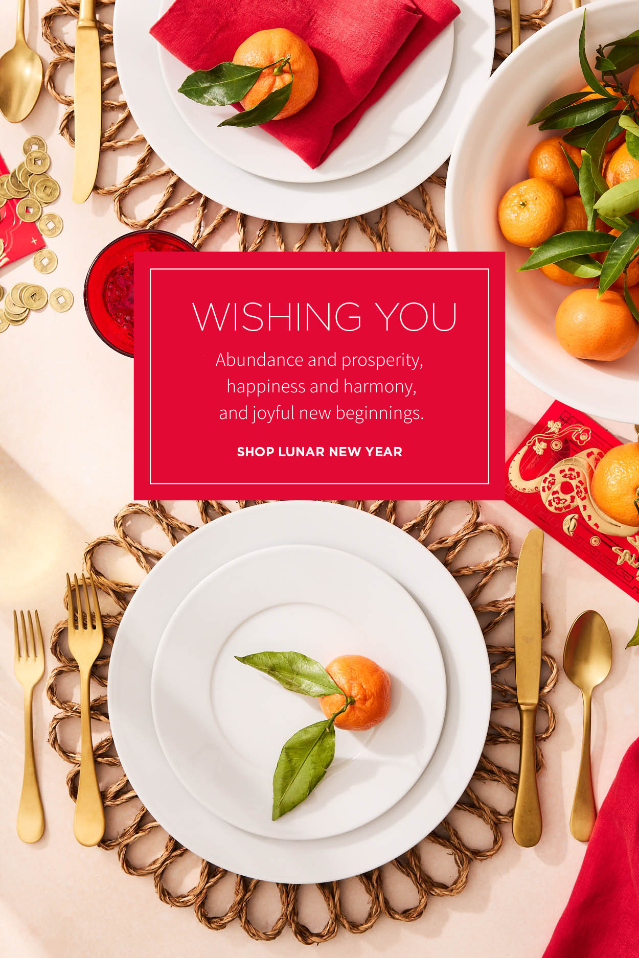 Lunar New Year