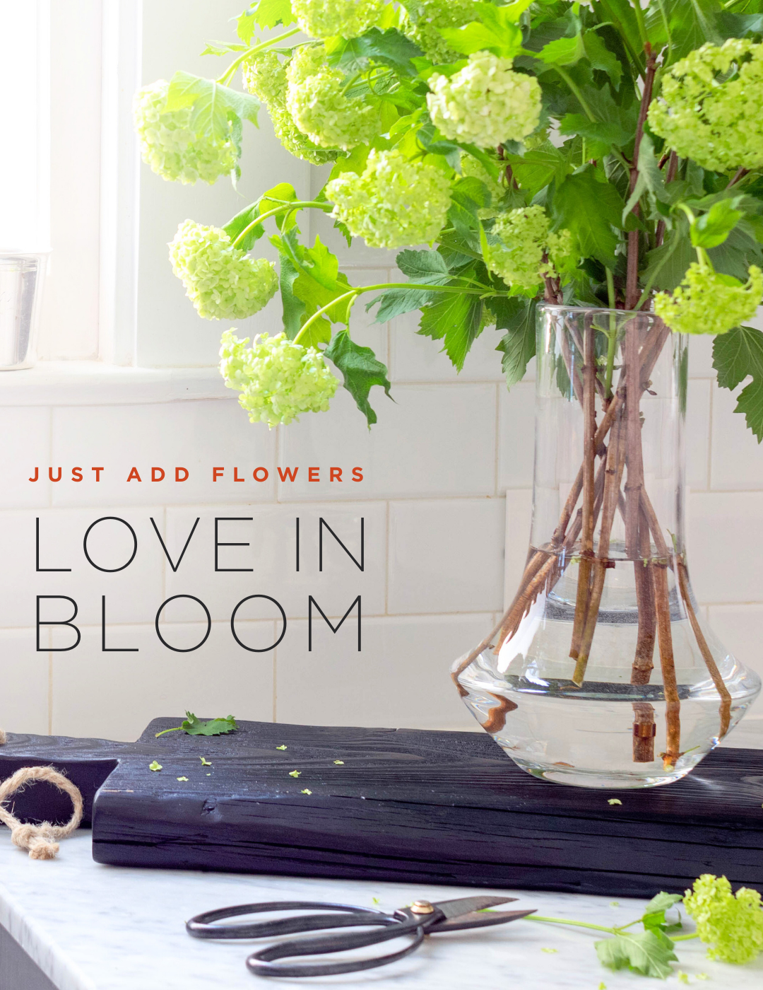 Hudson Grace Vases