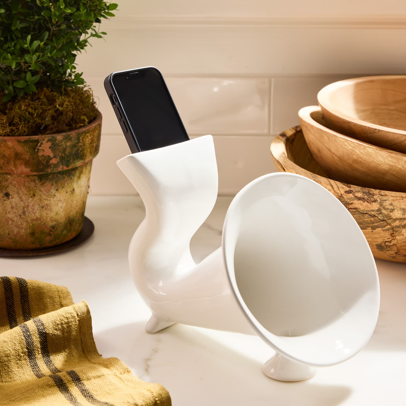 Kitchen Speaker