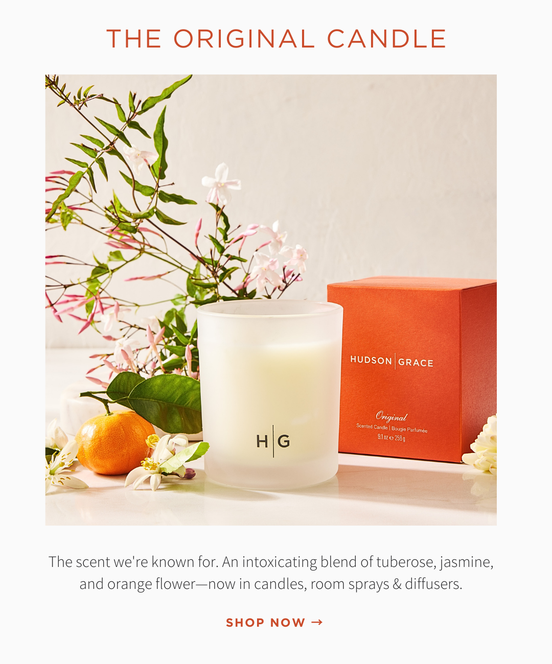 ORIGINAL SCENT