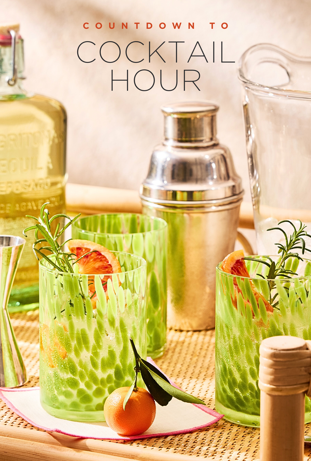 SPRING BAR