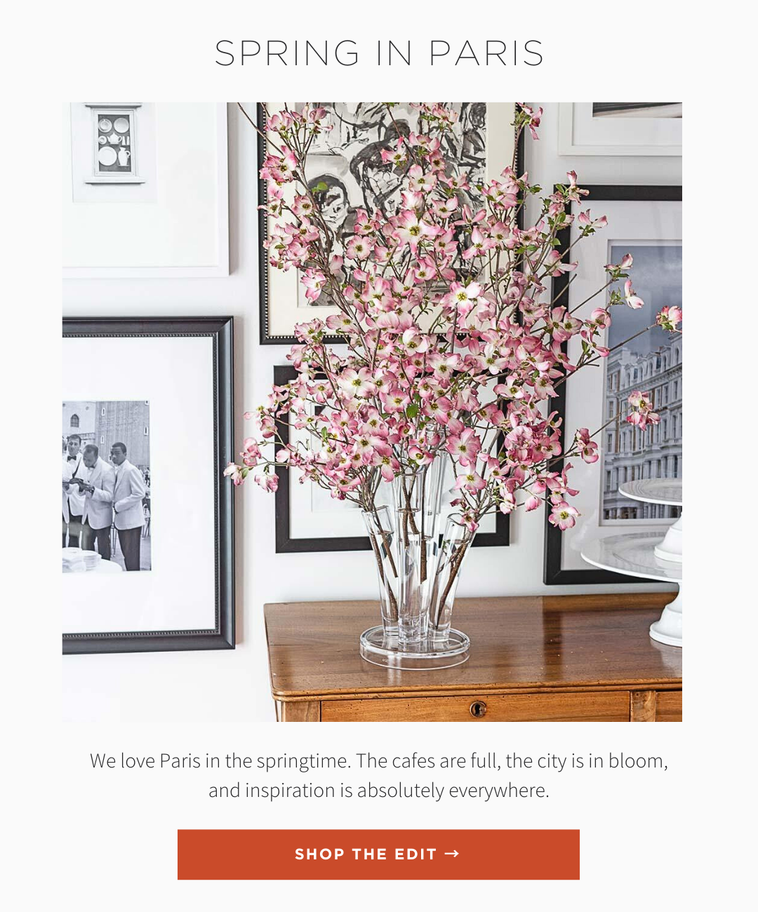 Spring in Paris