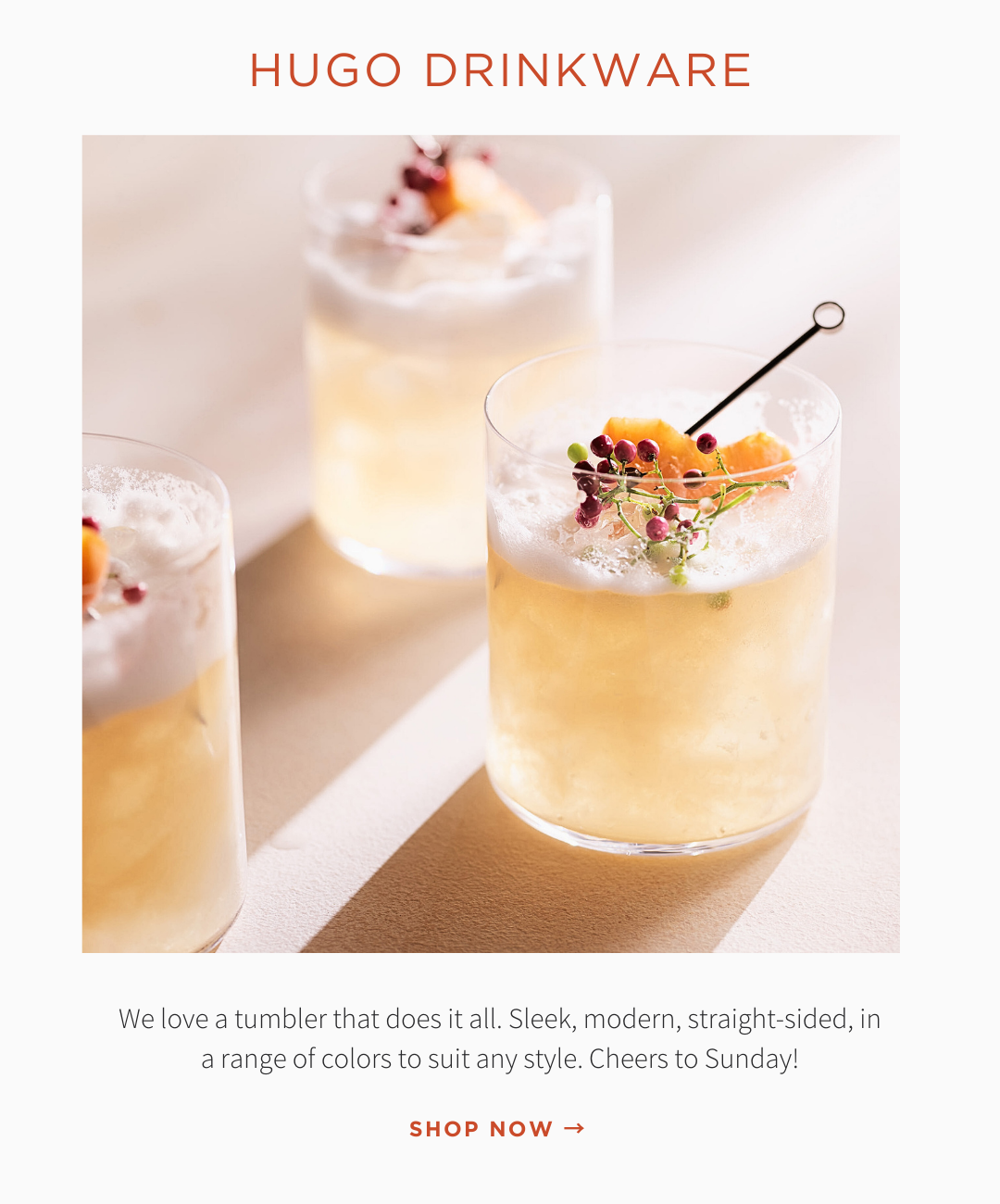 HUGO DRINKWARE