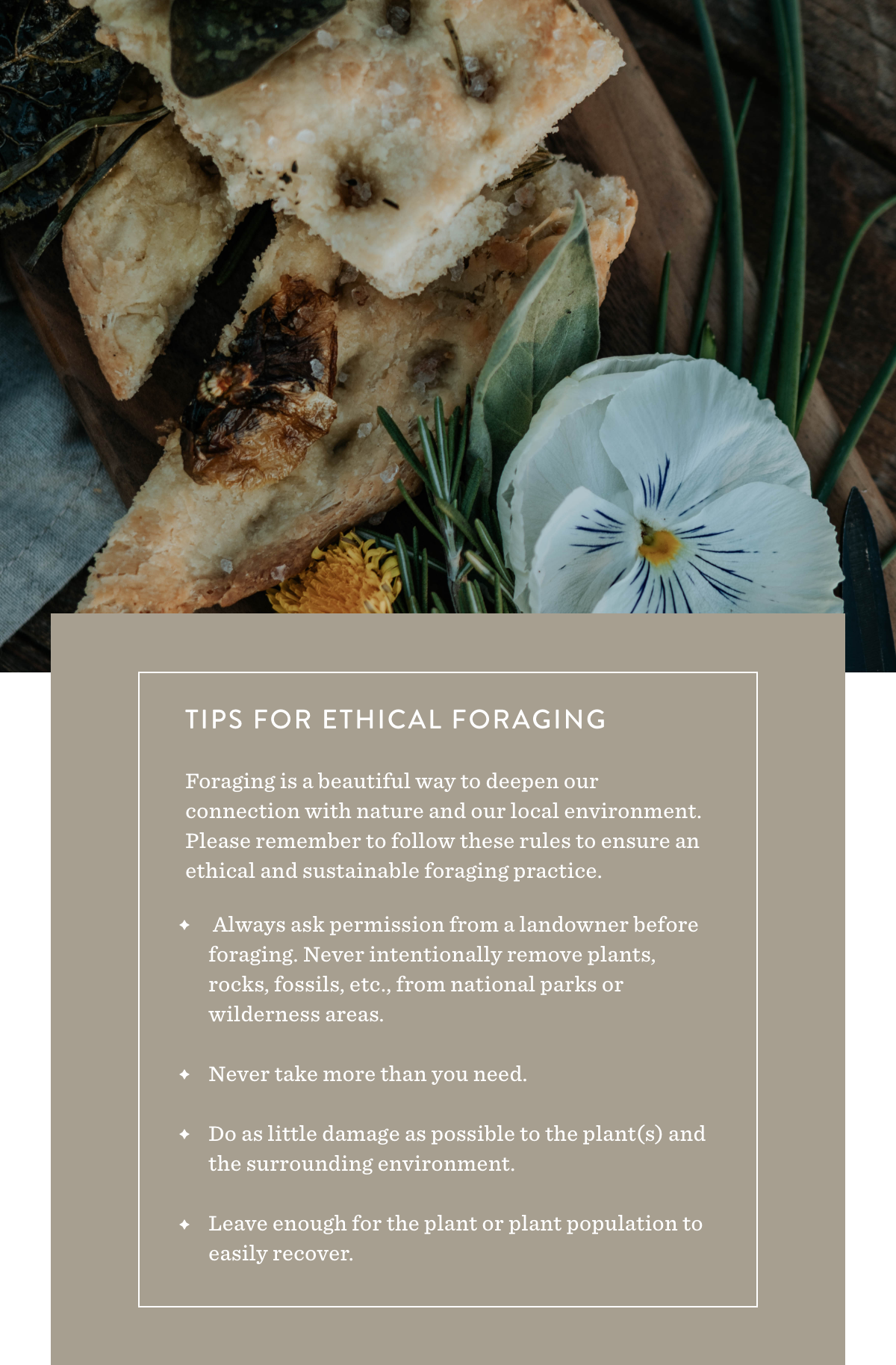 Ethical Foraging